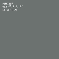 #6B726F - Dove Gray Color Image
